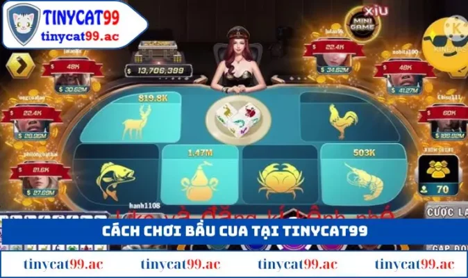 Cách Chơi Bầu Cua