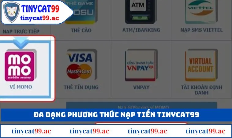 Đa dạng phương thức nạp tiền TINYCAT99 2025