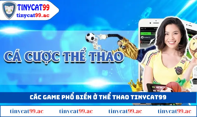 Cá độ thể thao TINYCAT99 với nhiều trò chơi hấp dẫn